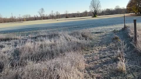 Frosty, crunchy morning