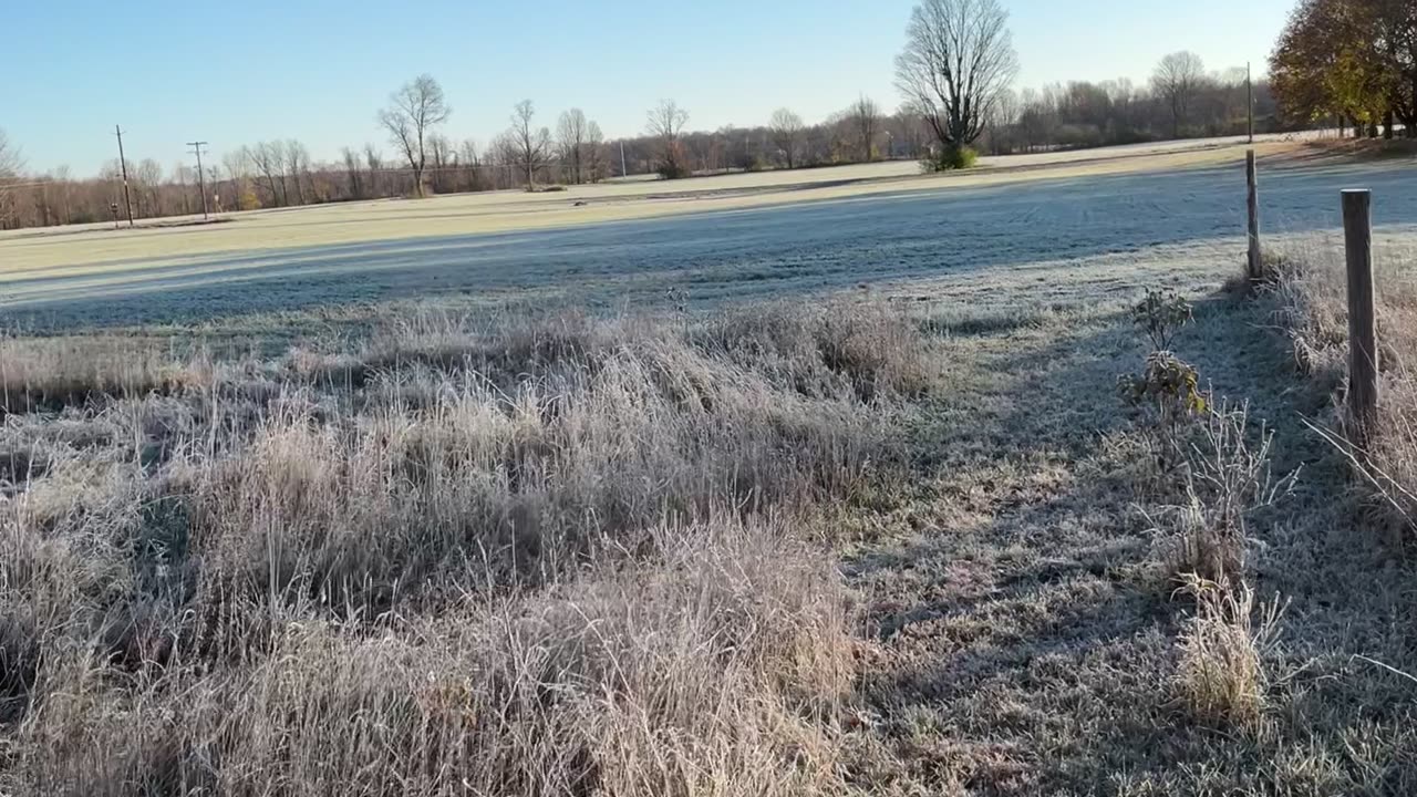 Frosty, crunchy morning