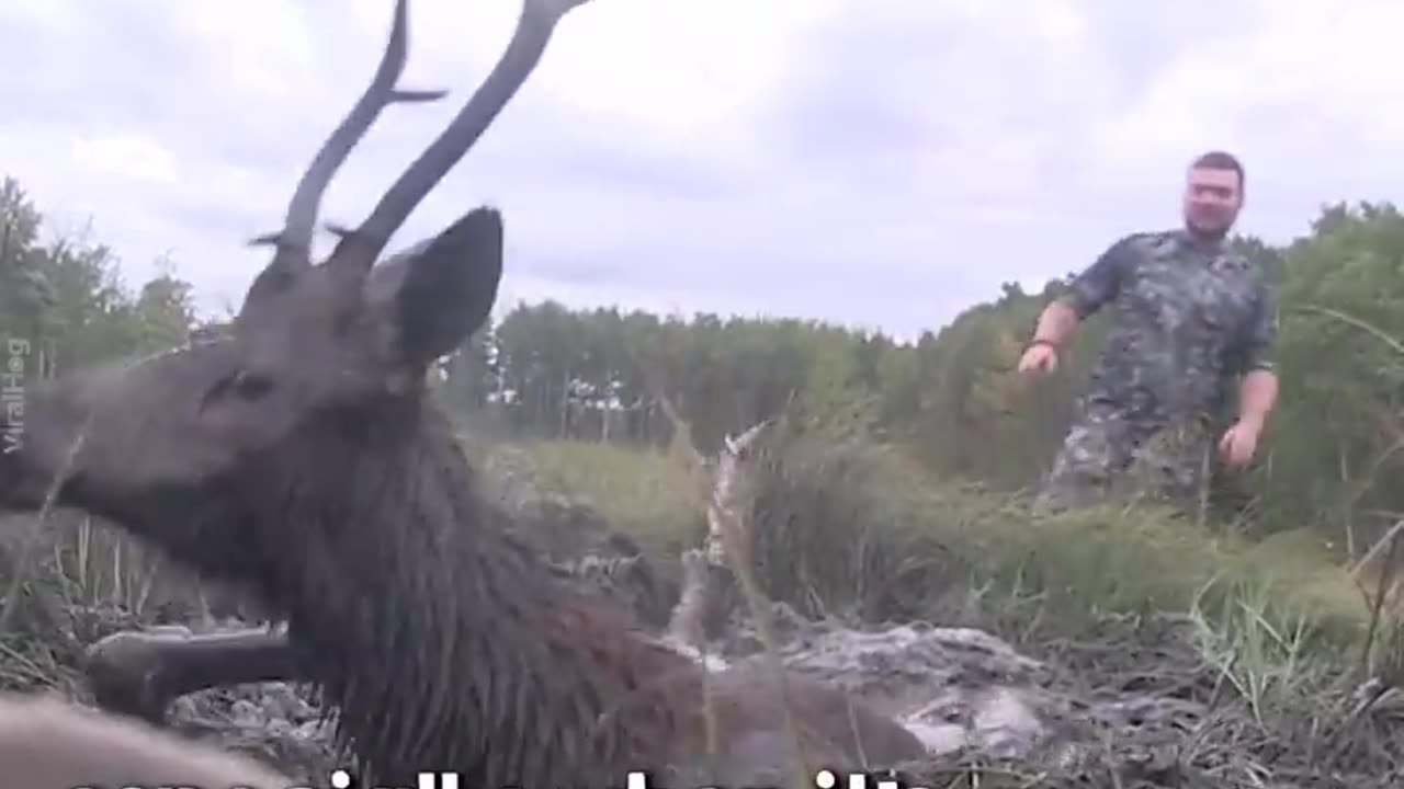 Hunters Drop Their Weapons to Help an Animal in Need