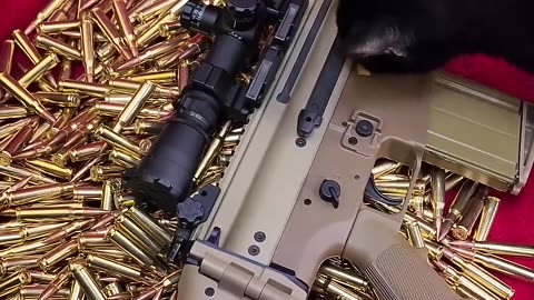 FN SCAR 17s best firearm.