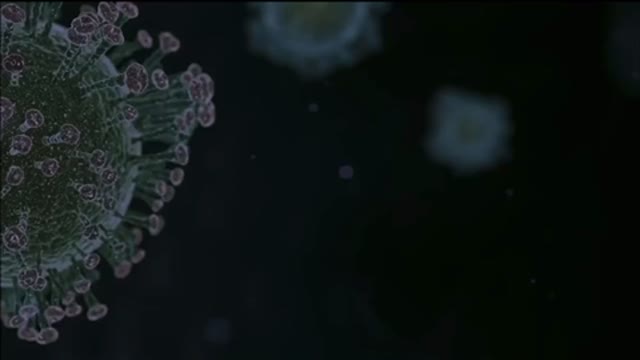 The Ivermectin Story & corruption around suppressing its use to Save Lives