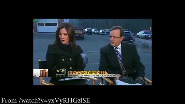 Sandy Hook Staged Interview