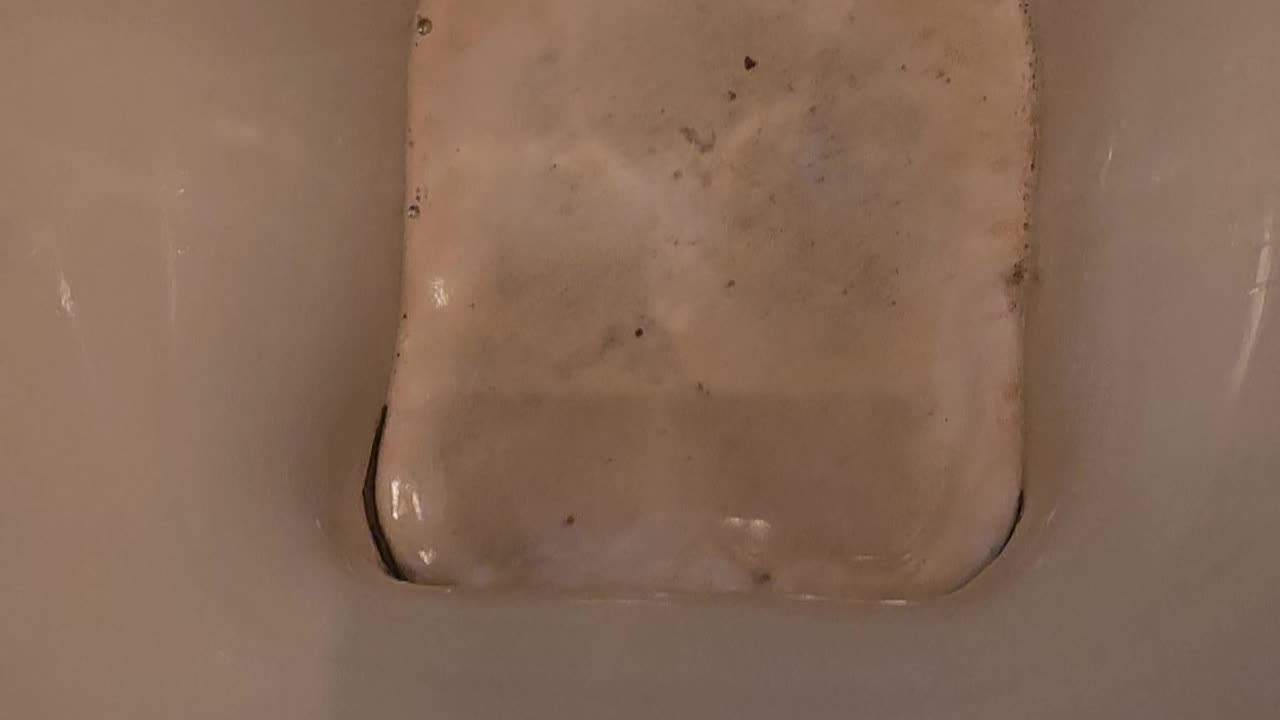Brown Toilet to Clean Toilet