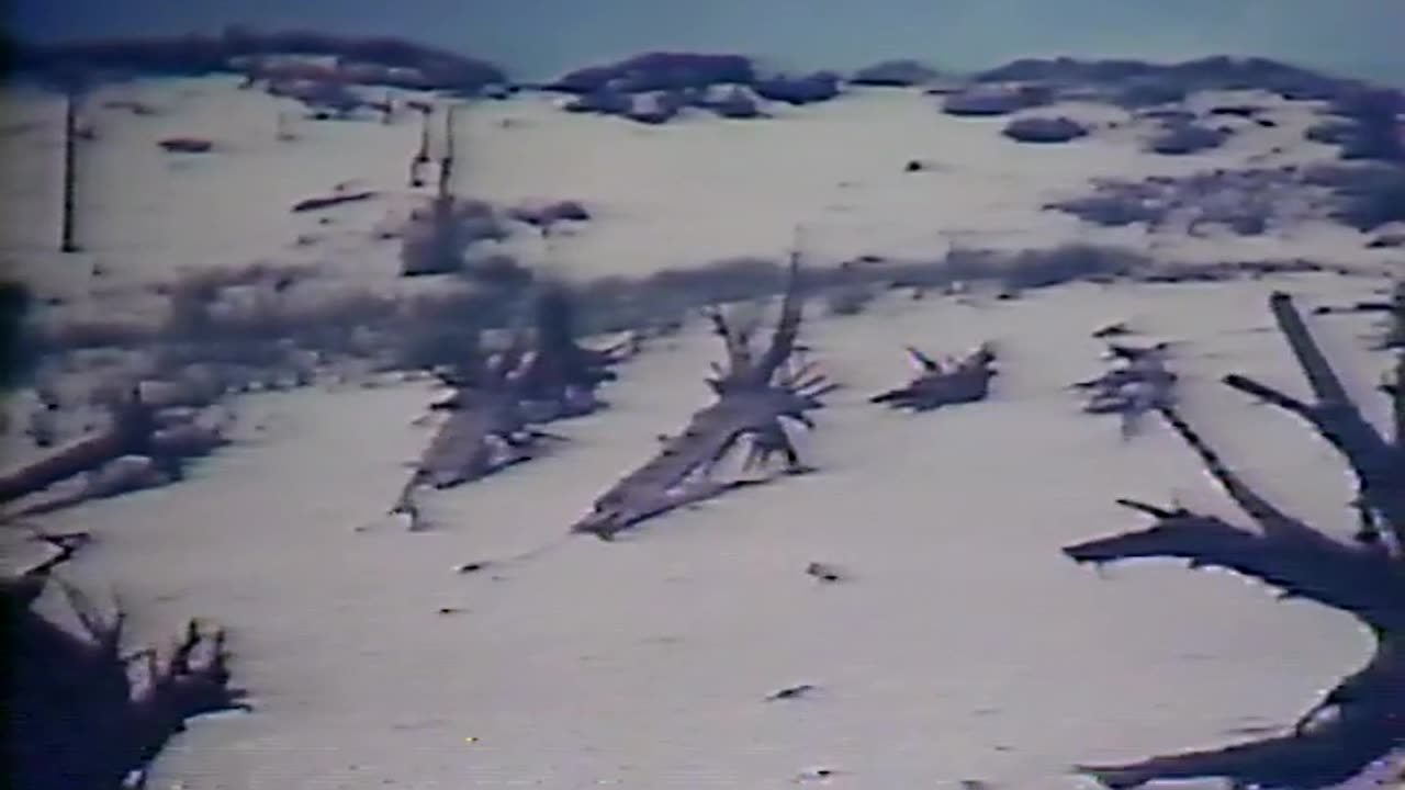 1987 - 'Indiana Outdoors' on Tree Graveyards (Partial)