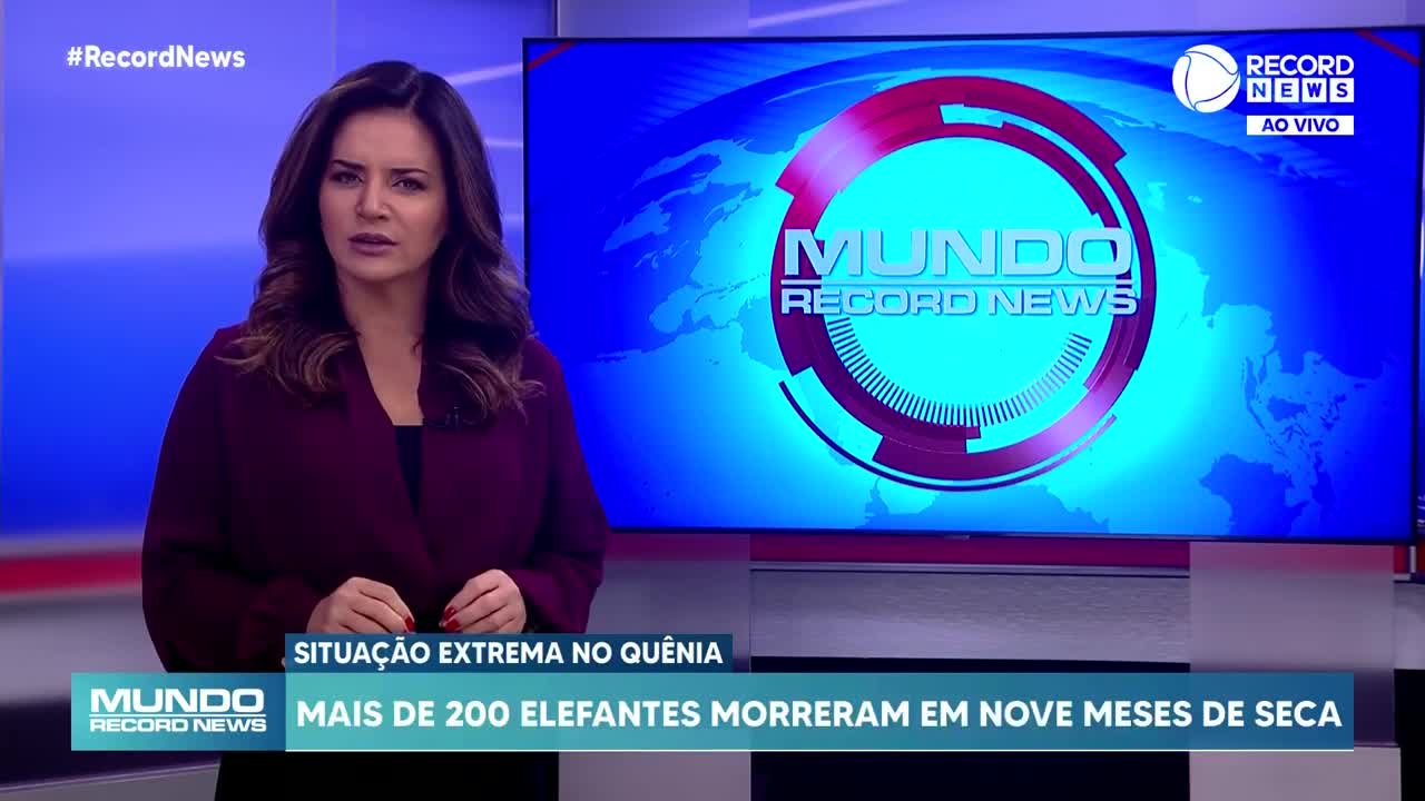 Mais de 200 elefantes morreram por conta da seca