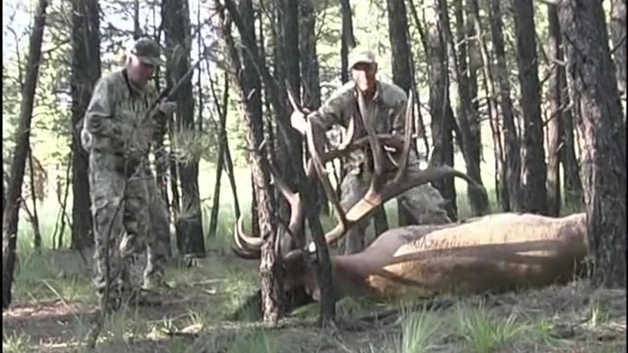 "Awesome Bulls 4" Elk Hunt!