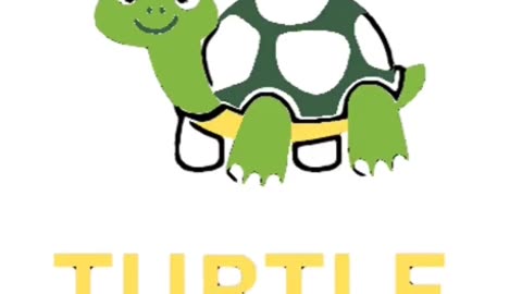 A little turtle animation video.|hot trending.|make cartoon with sony