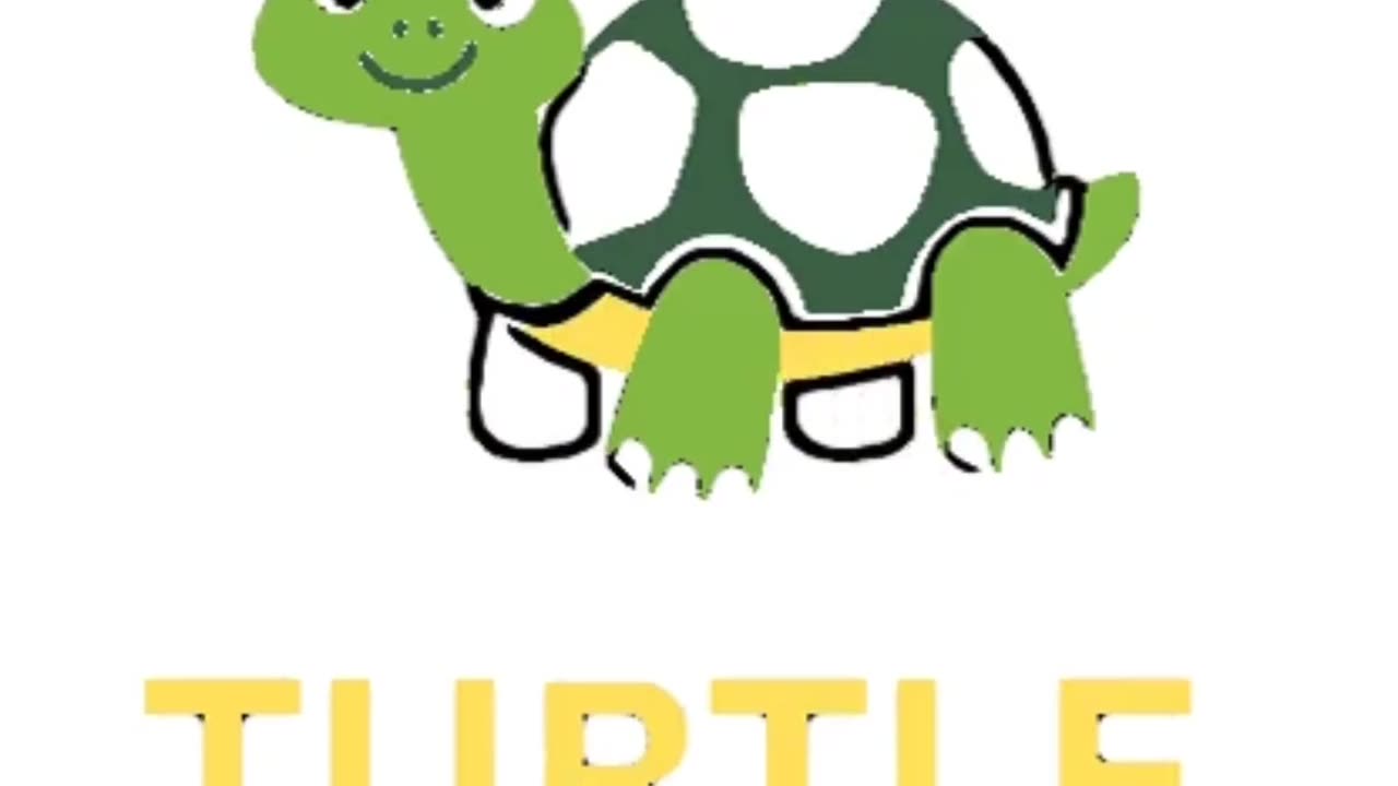 A little turtle animation video.|hot trending.|make cartoon with sony