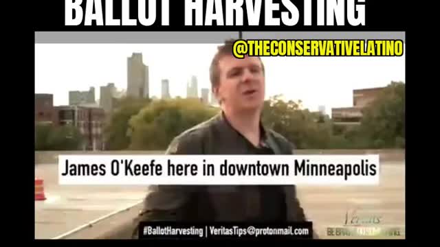 James Okeefe exposes Ballot Harvesting