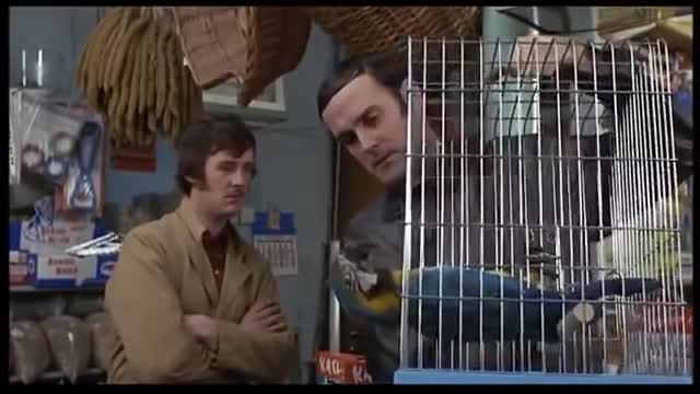 Monty Python Dead Parrotp1