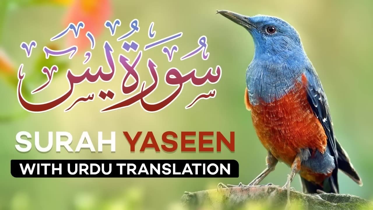 Surah Yaseen(Yasin) with Urdu translation Full [2023]