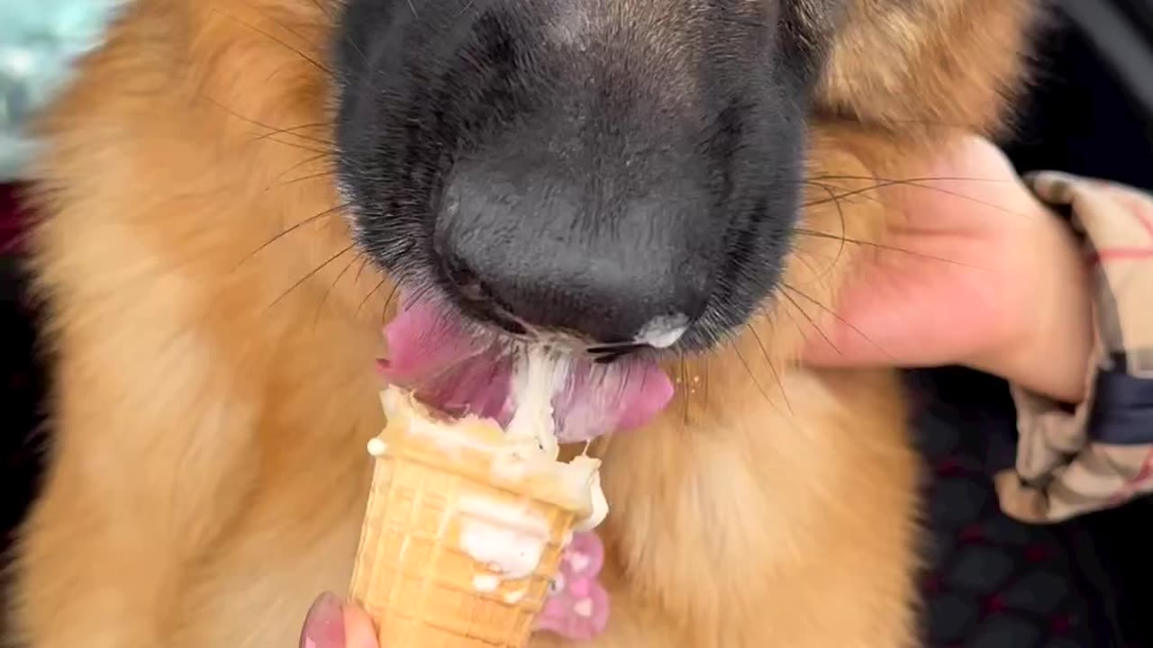 Nomnomnomnom…,,