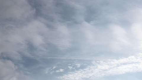 Chemtrails 11/24/24 one