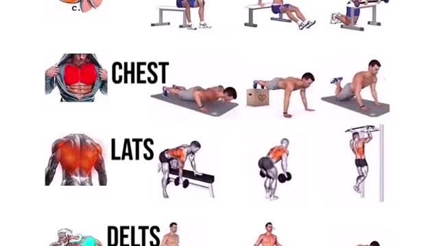 💪🔥#USE THIS EXERCISES TO TRANSFORM YOUR BODY FROM FAT TO MUSCLE#GYM WORKOUTS