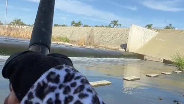 Never caught a catfish this fast.