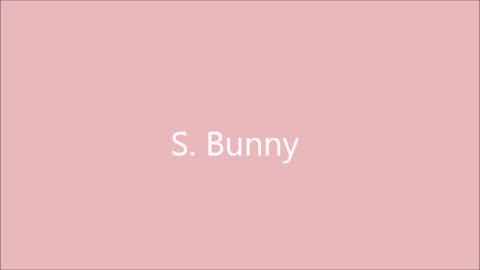 S Bunny