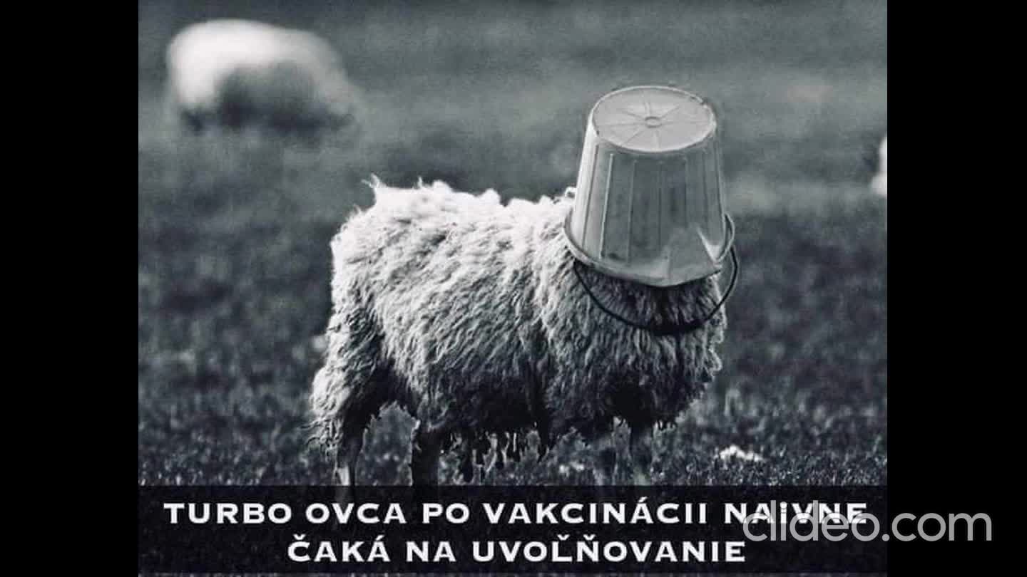 tak nejak to je