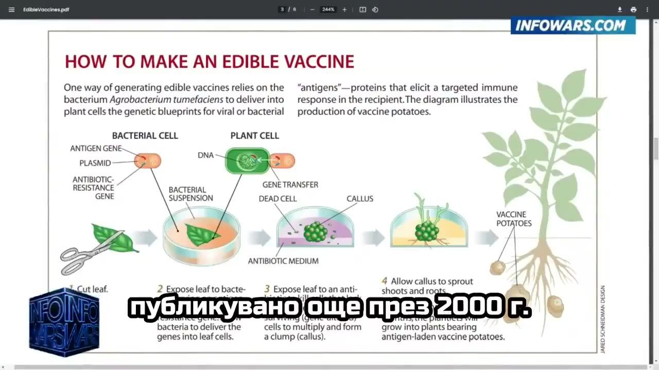 Ваксини в храната