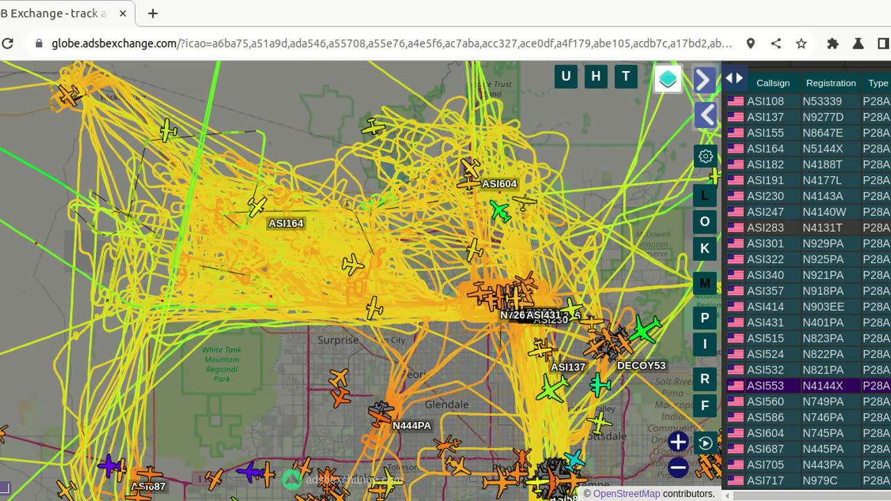 Bird NaziPac Transpac 1:30pm Jan 31st 2024 -