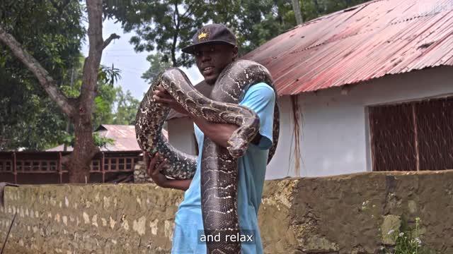 EAST AFRICAN FAMILY LIVING WITH PYTHONS AND CROCODILES AS PETS