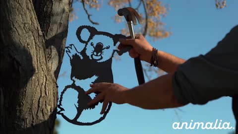 Animalia Art Australia - How to install a koala