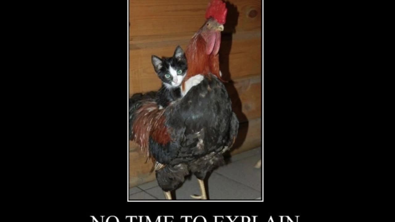 Random Memes 580