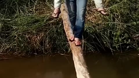 Funny video