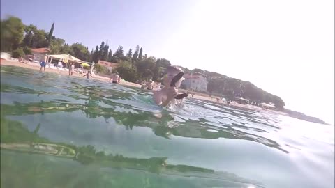 Dad And Kid Throw Sea Cucumbers At Each Other After Kid Swims Underwate