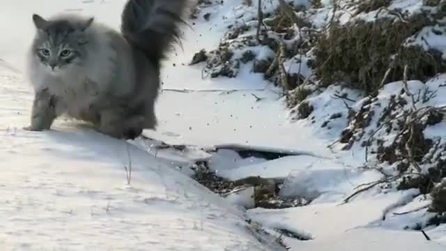 Good reaction time, almost fell into the water