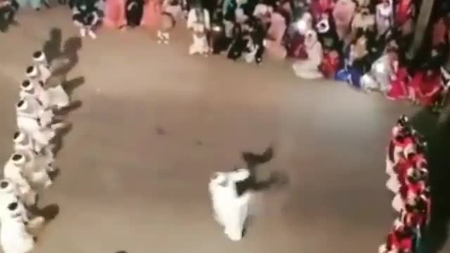 Bee dance