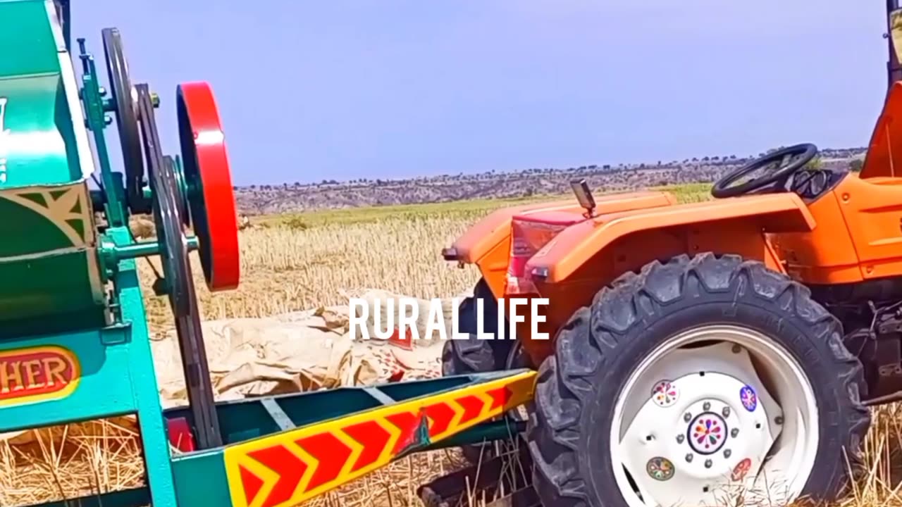 Tractor with Wheat Thresher Machine 😍😯 Amazing Rural Life❤️