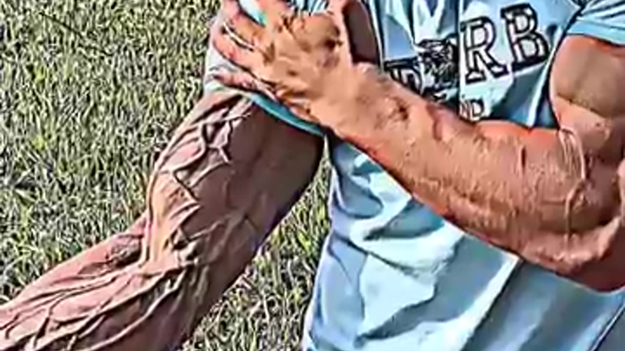 Respect shorts #shorts 😍💯🔥💯😍