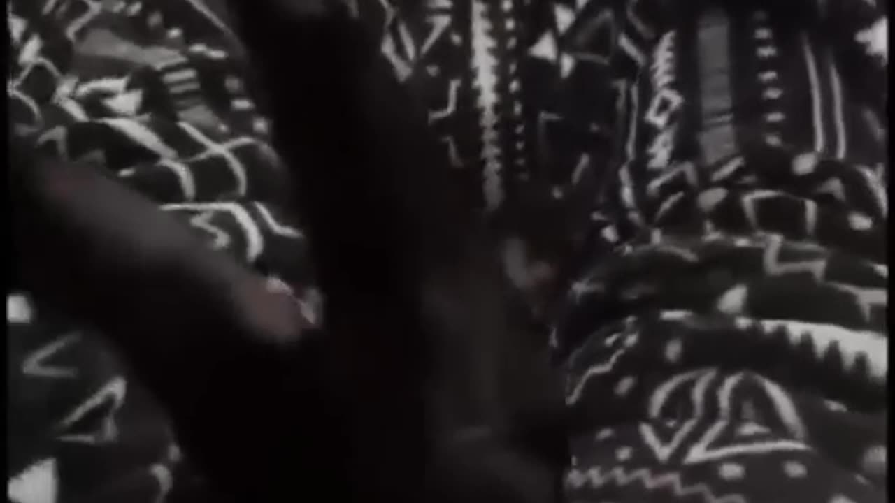 funny cat videos