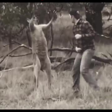 Respect #respect #short#trendingshorts