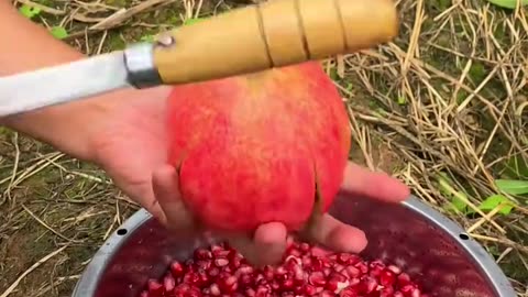 Pomegranate seed harvesting skills are very smart and effective #fruitcutting10