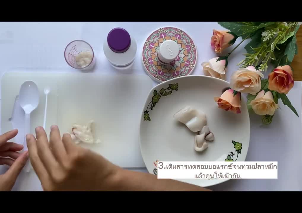 การตรวจสารปนเปื้อนในอาหาร (ปลาหมึก)