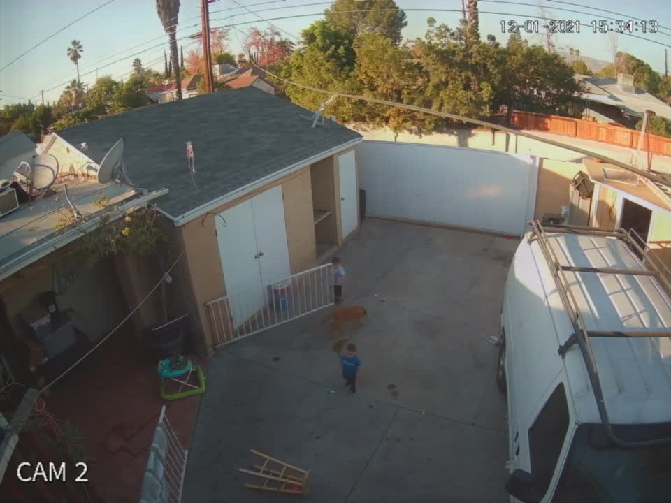 Toddler Gets Whacked by Closing Fence