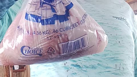 Large bag