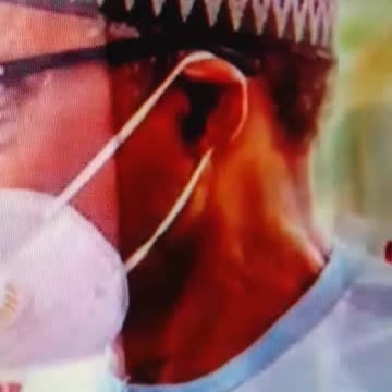 Hyper Realistic Mask? Meeting with Deby of Chad(R.I.P) and Nigerian President.