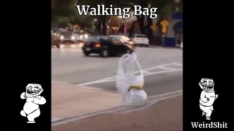 THE WALKING BAG