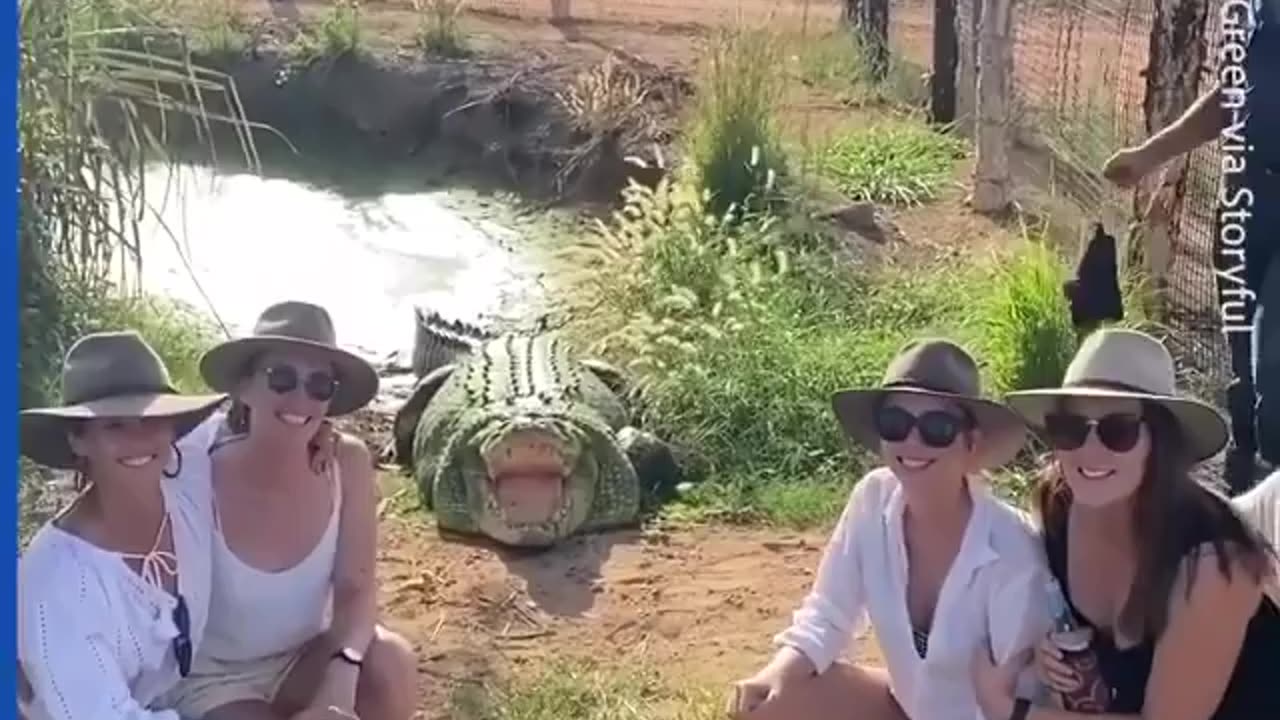 GROUP CROCODILE PHOTO OP GOES WRONG :-)