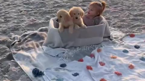 Puppies Running at the Beach!