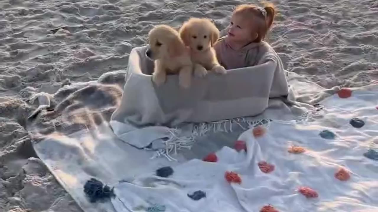 Puppies Running at the Beach!