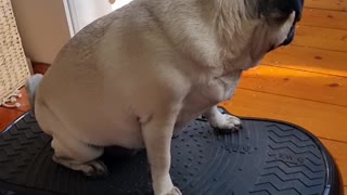 Matilda Works on Her Summer Body