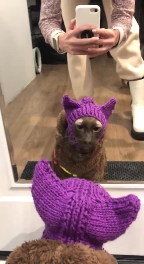 She has finally lost her damn mind 🤣