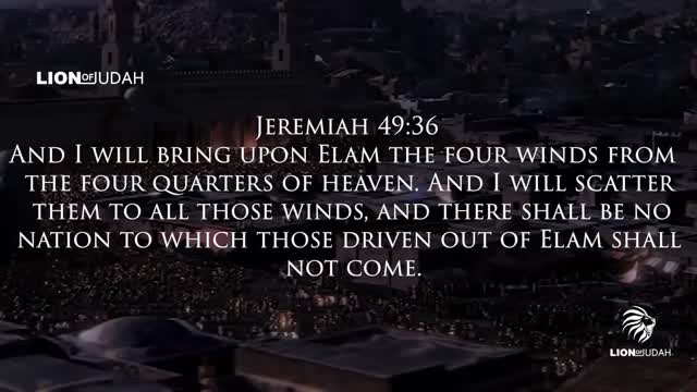 The Book Of Revelation