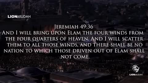 The Book Of Revelation