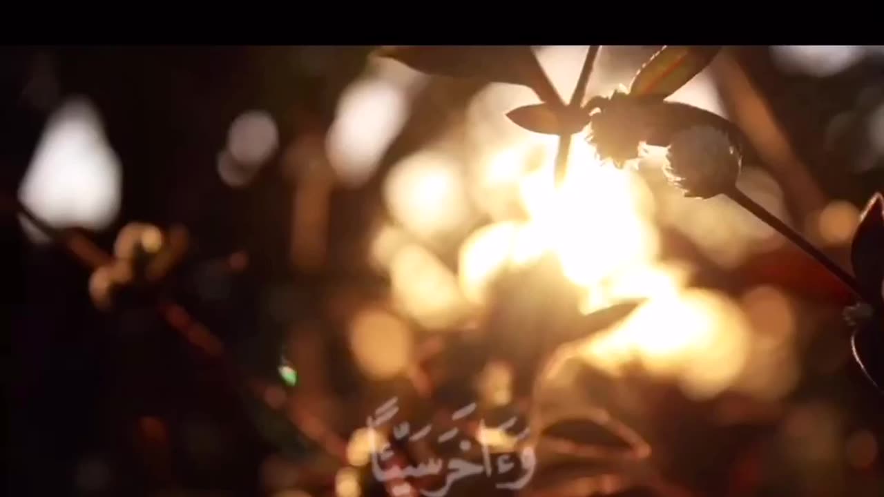 قران الكريم