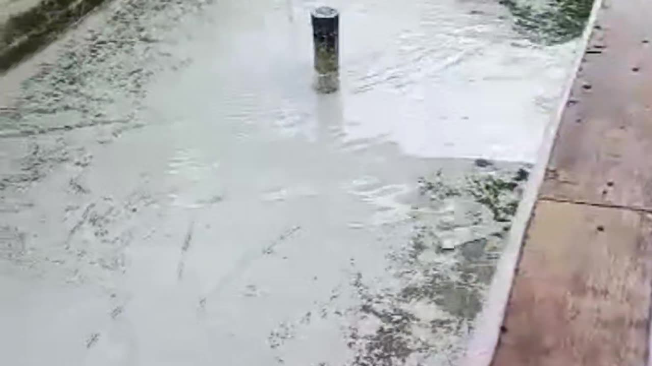 Kapan waktu yang tepat untuk melakukan SORTIR ikan lele