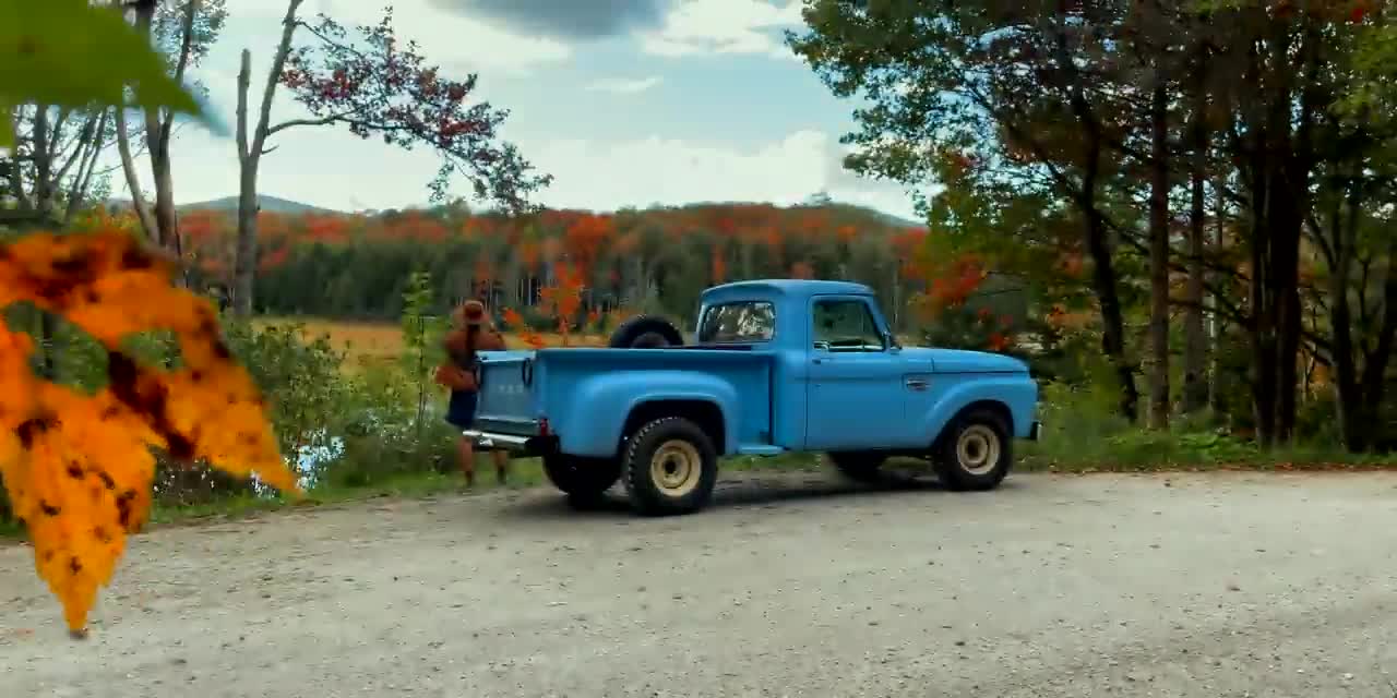 Autumn Treehouse & Cabin Roadtrips-13